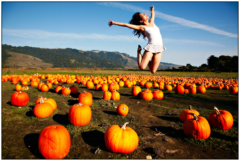 Pumpkin Day | pumpkin, hills, field, holiday