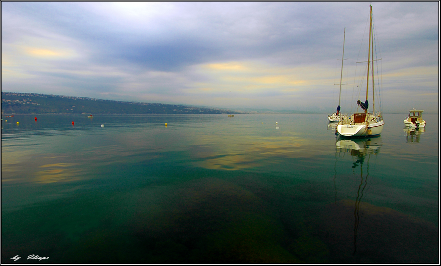 morning in the bay | shore, sea, boat, bay