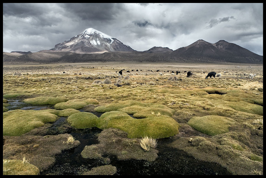 Sahama Volcano | volcano, mountains, mire