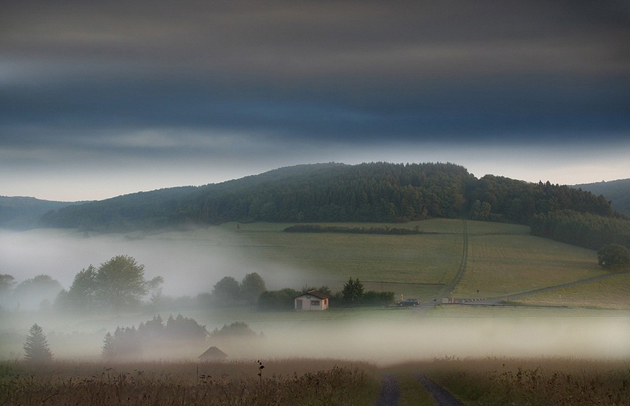 Norway morning | country, morning, trees, fog, fields