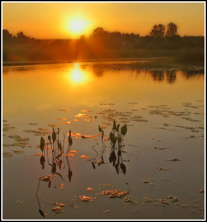 Sun on the water silk | sun, coast, water, river, rising, dawn