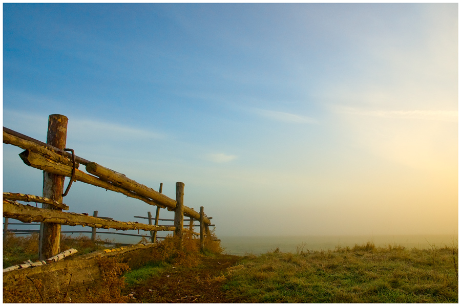 Fragment | fence, light, haze, field, morning