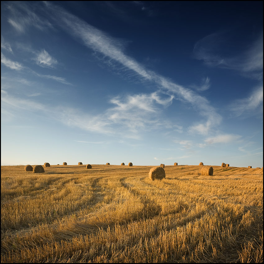 Infinity lines | field, summer, sky, hay, warm