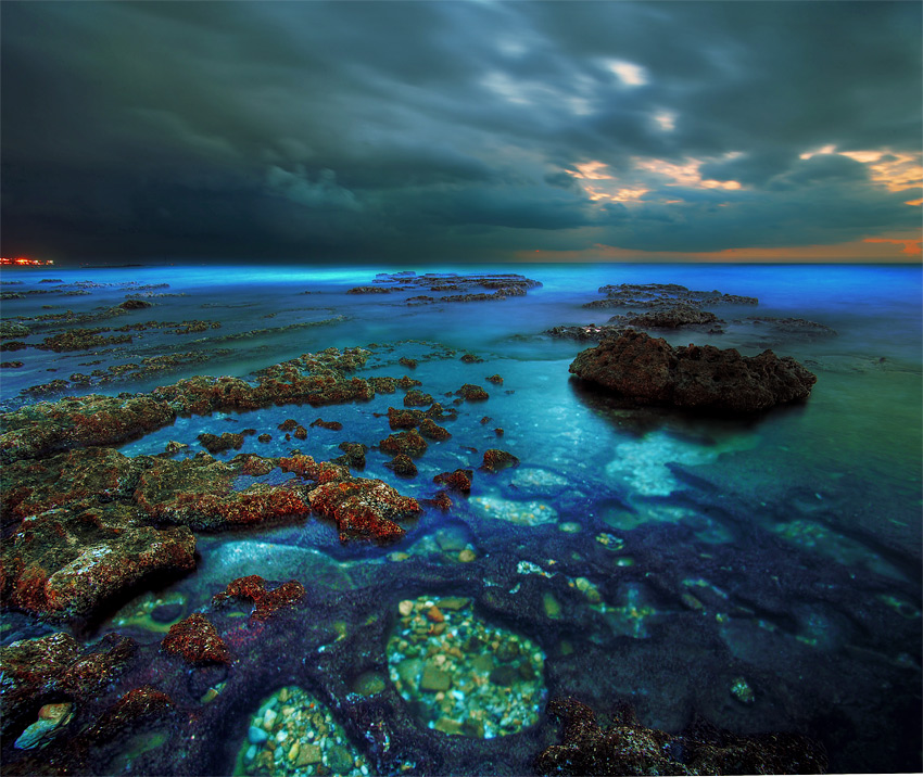 Marsian chronicles corals, clouds, sea, dusk.