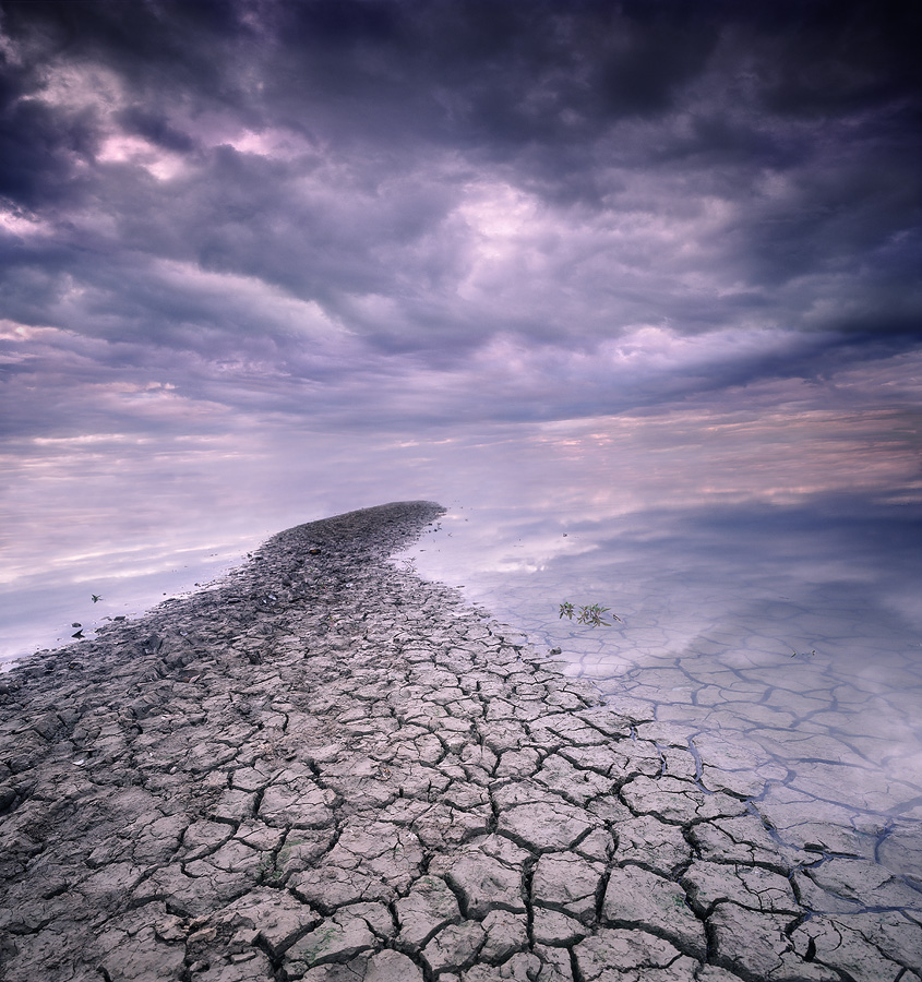 to Heaven... | water, earth, clouds