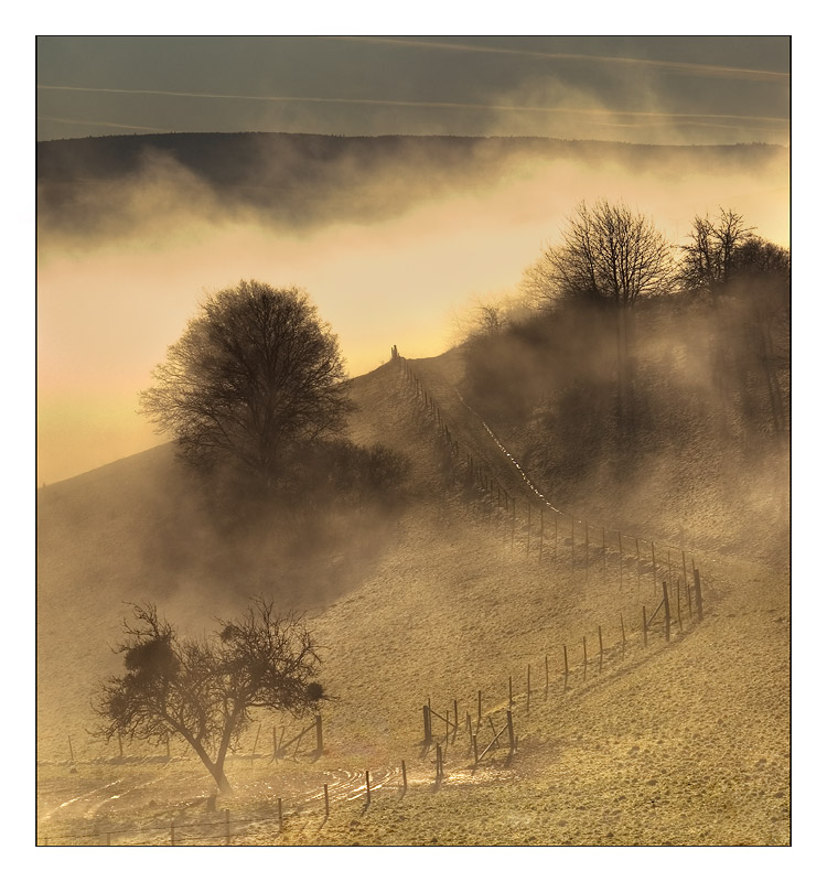 In gold | haze, trees, fields, hills, golden