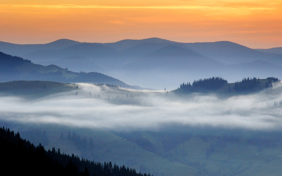 Over the Hills | fog, dawn, woods, mountains, Carpathians