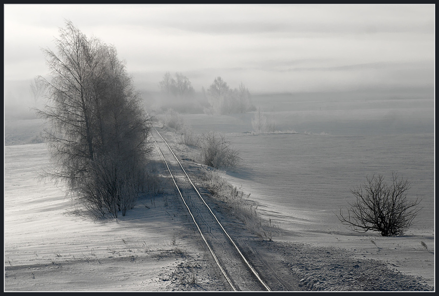 Beautiful farewell to winter | trees, morning, snow, railroad, fog, road
