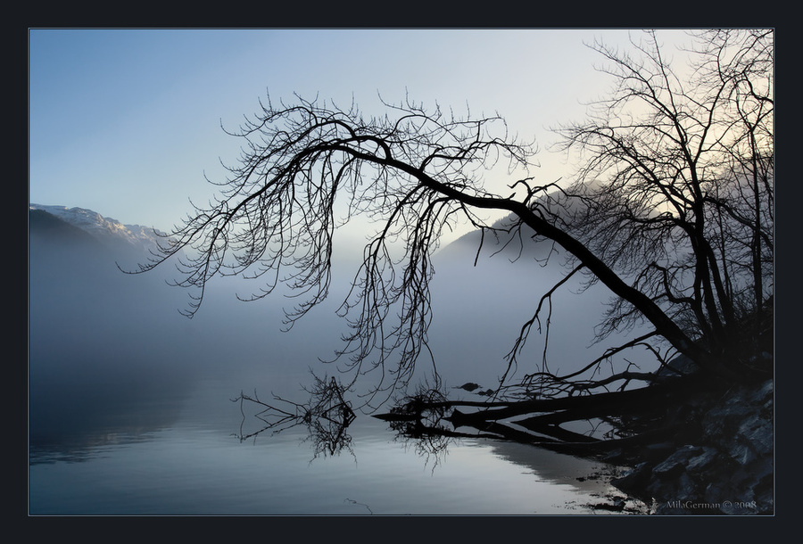 foggy perspective | mountains, silhouette, fjord, tree, fog