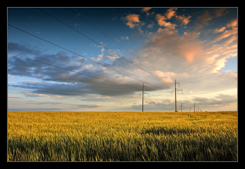 quantum mechanics | powerlines, dusk, wheat, clouds, field