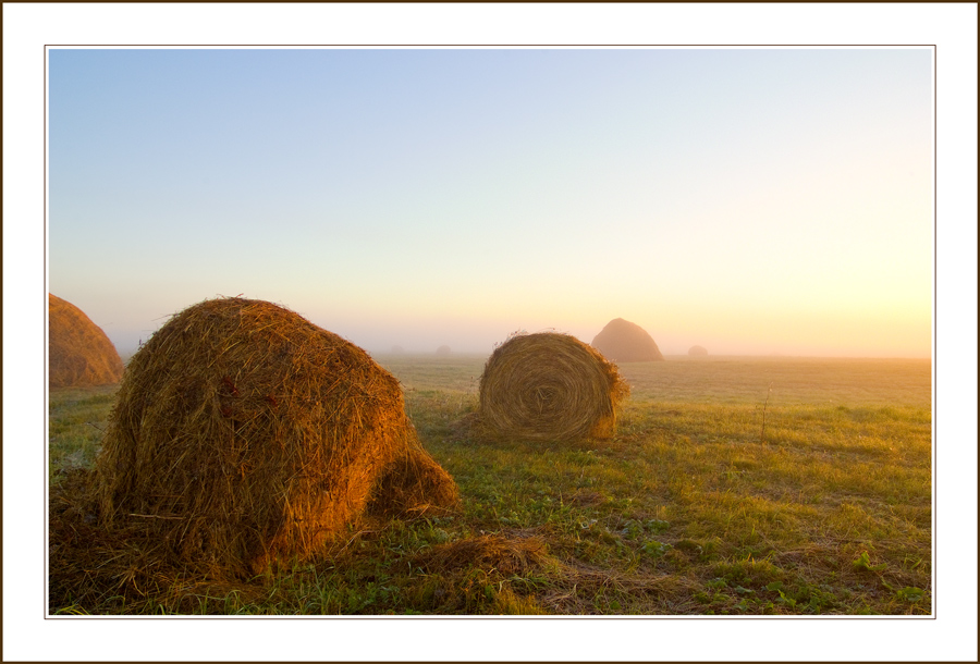 colored fog | fog, haystack, field, dawn