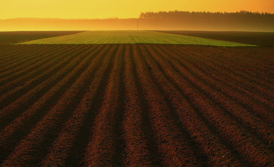 plough-land | field, dawn, plough-land