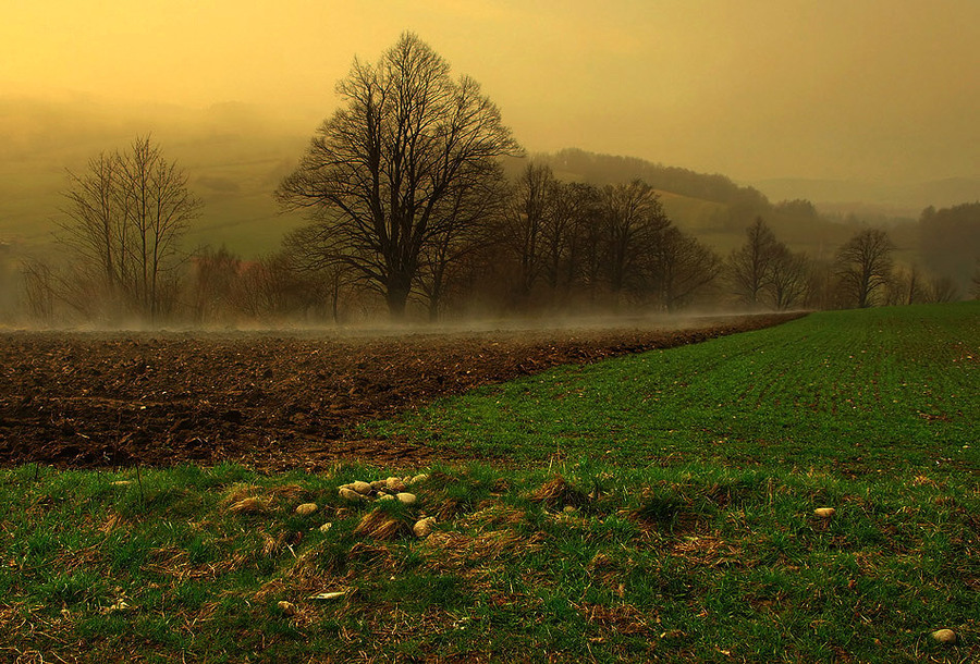Fiels | field, fog, dawn, plough-land