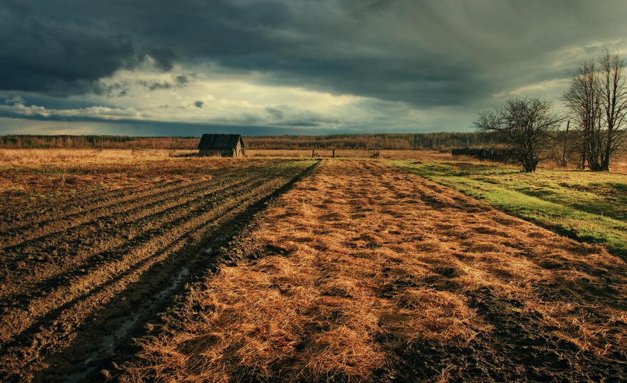 Spring | house, plough-land, clouds, spring, field