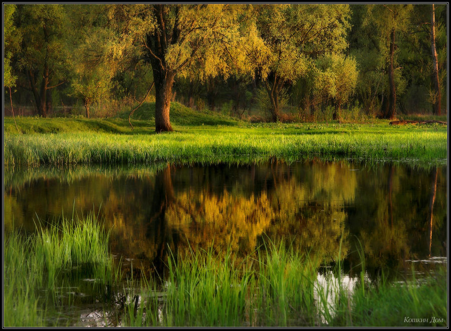 easter morning... | rush, forest, lake, reflection