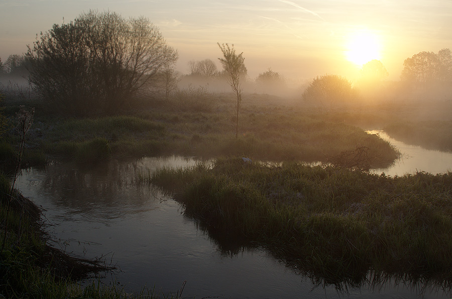 foggy morning | dawn, river, fog, morning, rush