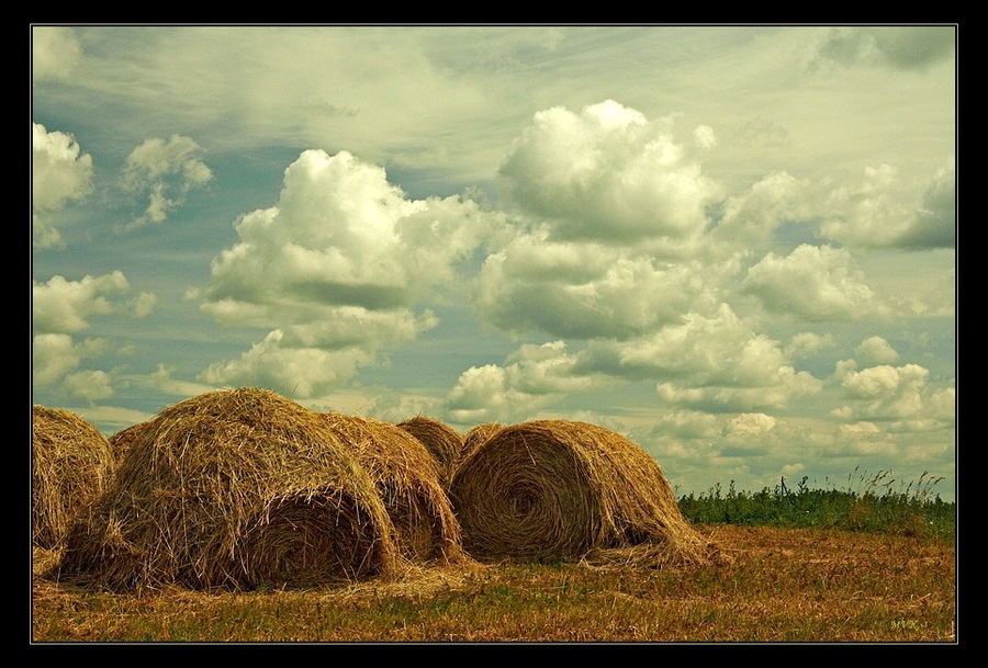 The cool may come | sky, haystack, summer, field, clouds