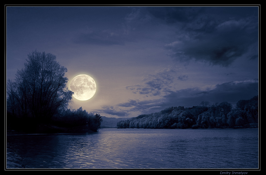 Moonlight | clouds, forest, lake, moon, night