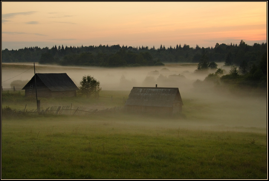 returning | forest, evening, houses, fog, dusk
