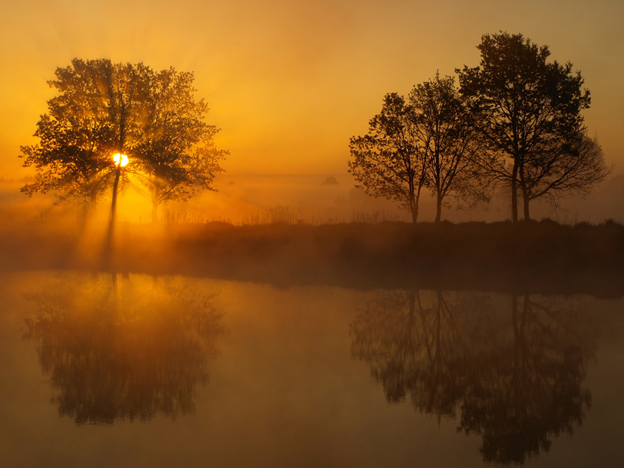 Morning exercises | field, sun, mist, girl, nude