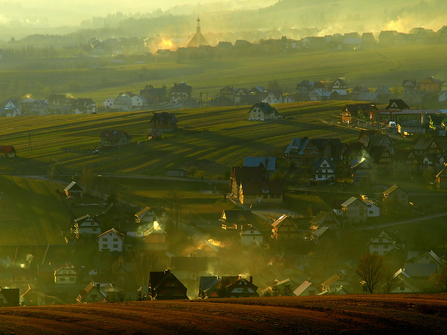 Small Swiss | field, mist, morning, autumn, valley, village
