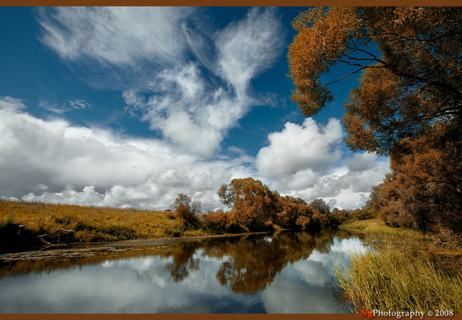 autumn mood | river, trees, bank, autumn, golden