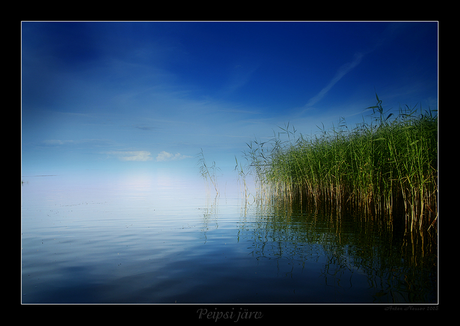 Calm | reflection, rush, light, lake, sky