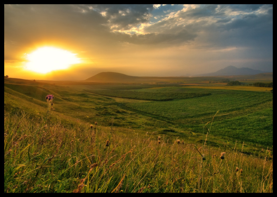 Last evening of July | grass, mist, dusk, field, panorama, sky, clouds, summer, beams, evening, green, sun