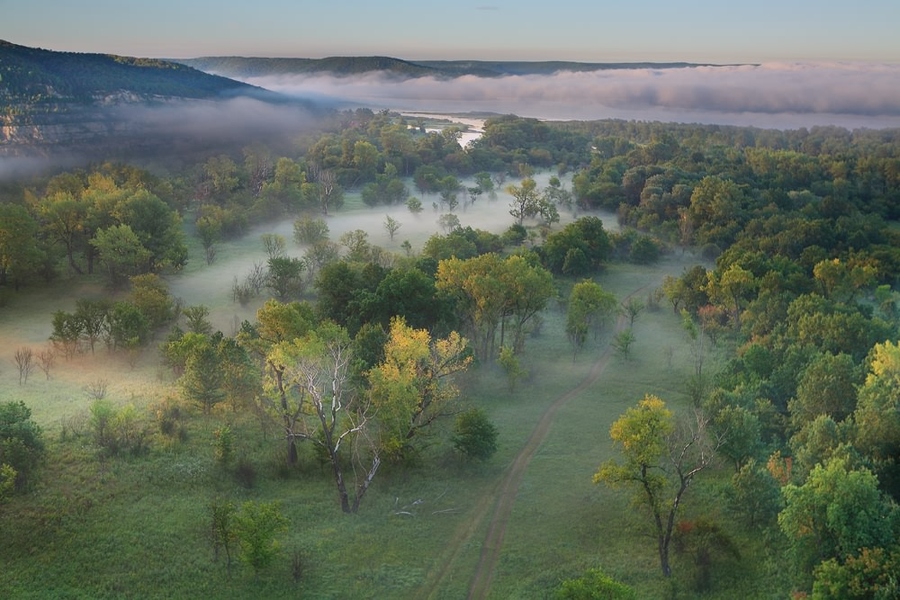 Auroral... | path, valley, mist, mountains, forest