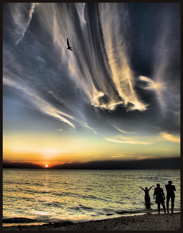 Azov. Farewell | silhouette, bird, dusk, sea, clouds, sky