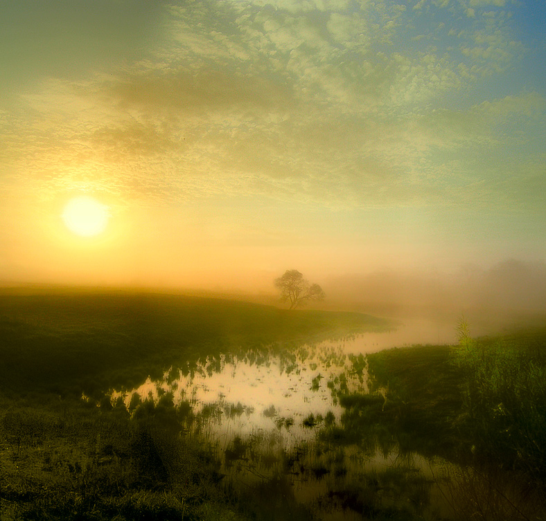 and then it warms us up | fog, field, sun, dawn