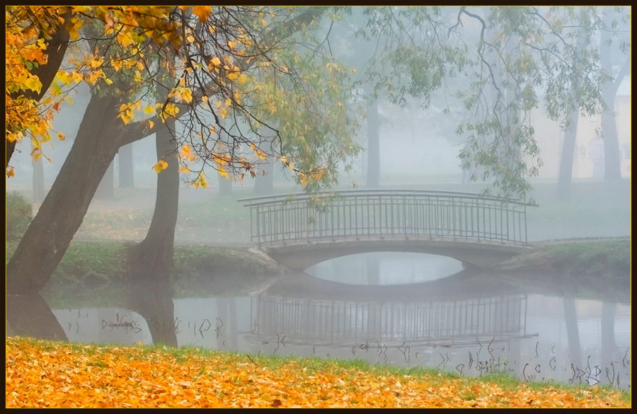 Golden leaves | park, bridge, trees, autumn, fog