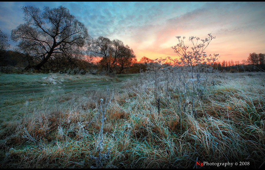 It's a kind of magic | grass, evening, trees, winter, hoar-frost