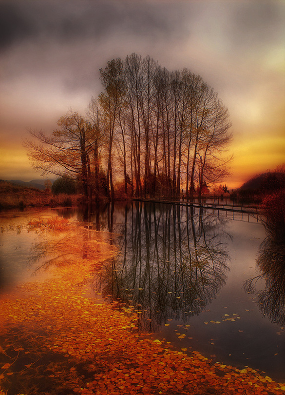 Golden path | clouds, lake, autumn, evening, trees, leaves