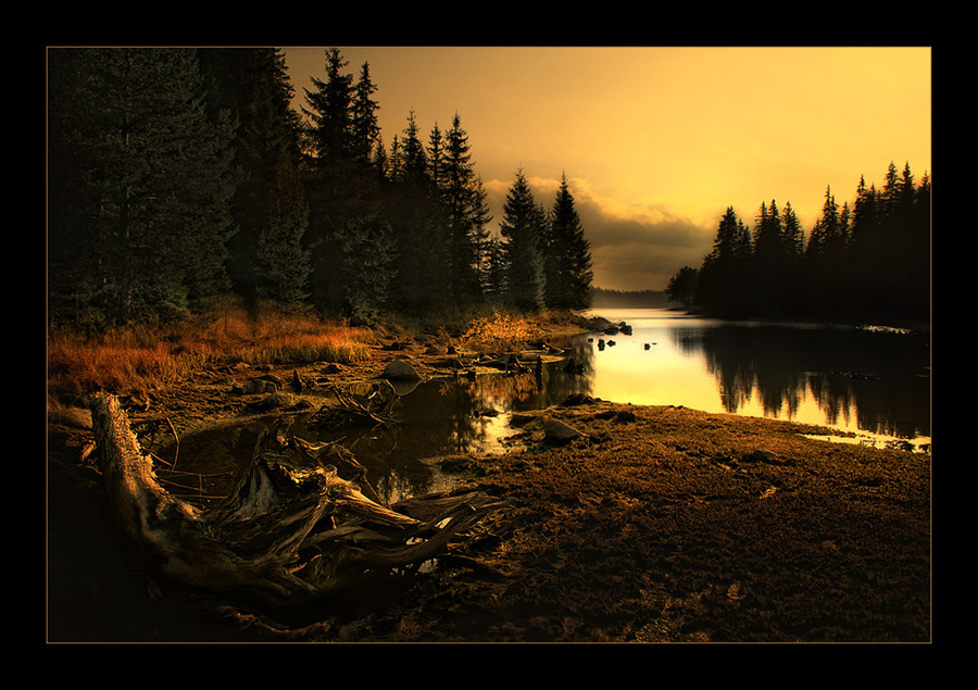 Frightful tale | forest, lake, evening, hdr