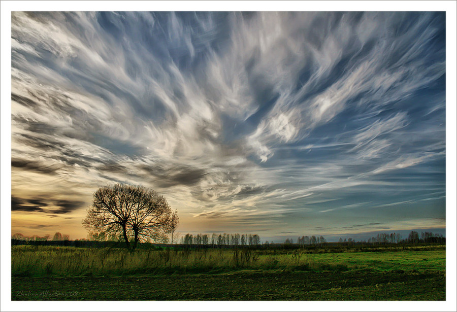 Mother of pearl | sky, clouds, field, tree, green