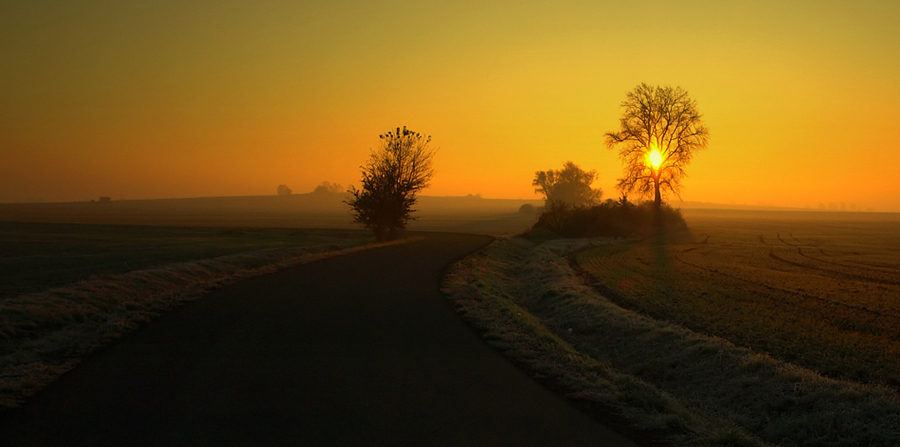 Sleeping sun | field, sun, morning, spring