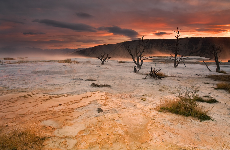 Sonorous sunrise  | sky, trees, sunrise, soil, lifeless