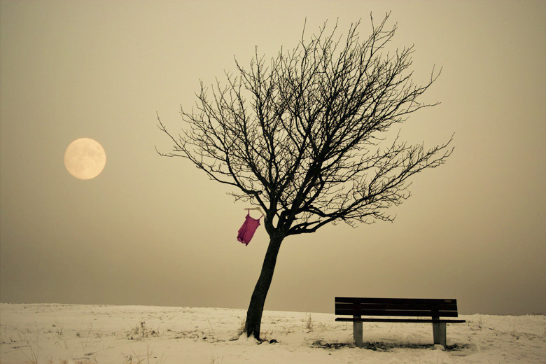 Full moon | field, tree, bench, T-shirt, moon