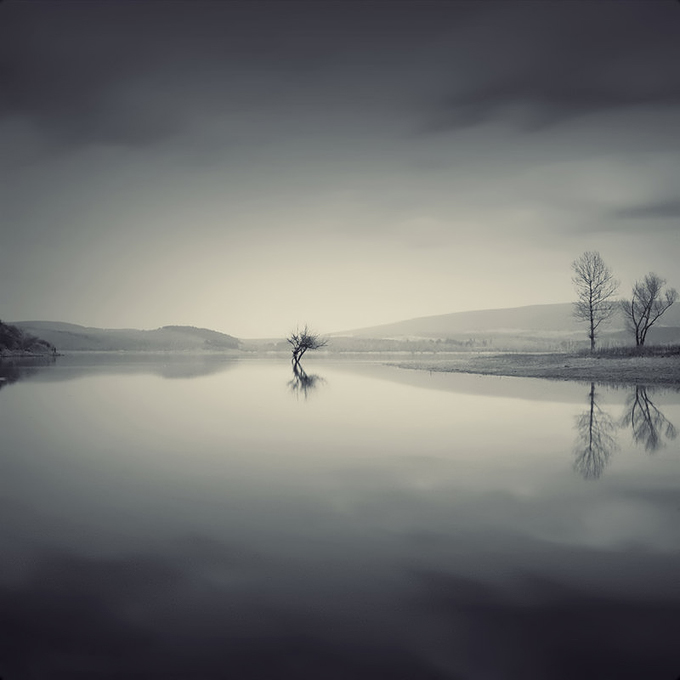 Point of no return | lake, reflection, black and white, trees, rendering
