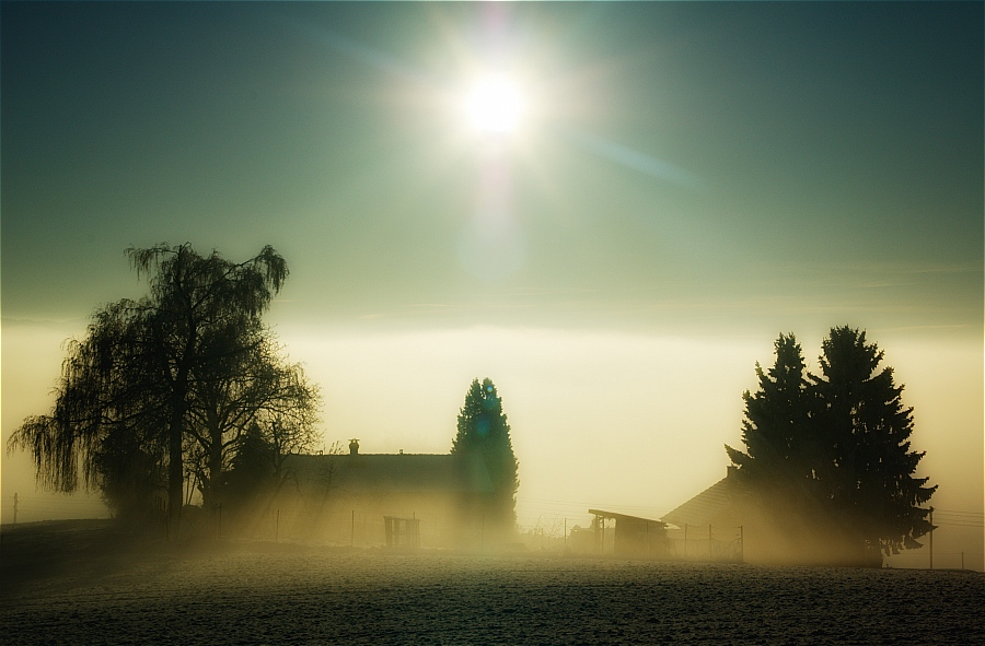 Outskirts of a village | sun, mist, trees, house, village