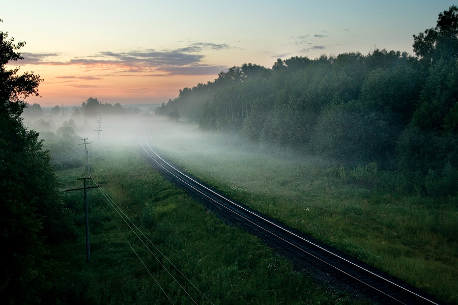 Railway under fog | fog, dawn, trees, summer, railway