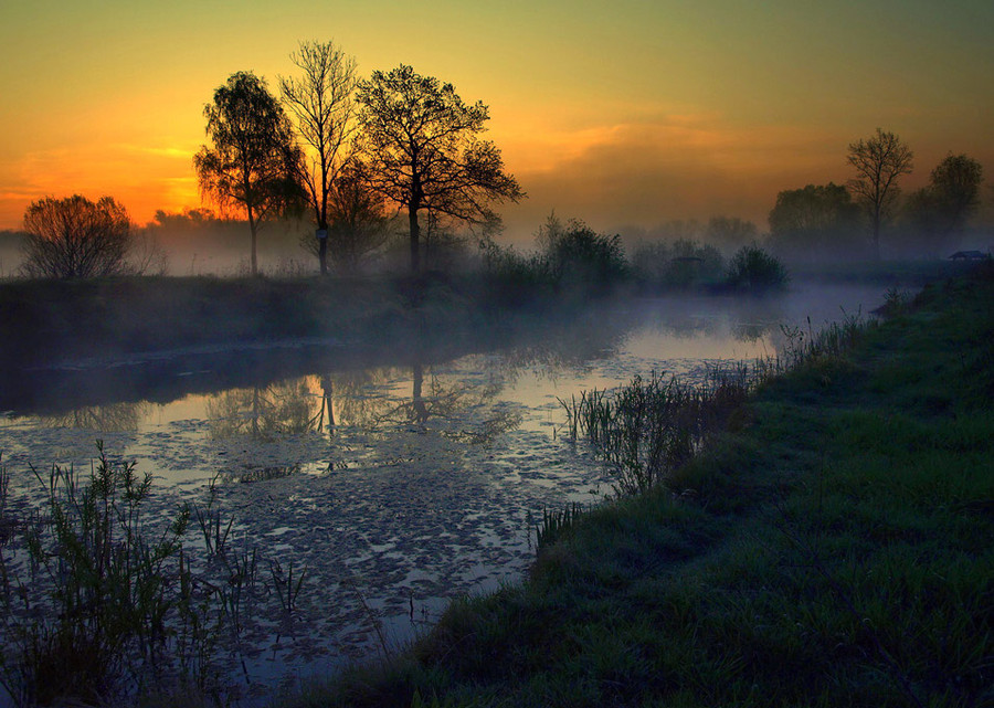 Awakening | river, shore, mist, dawn
