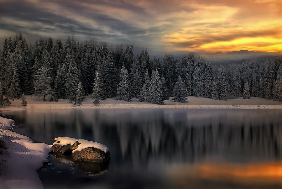 Strange forest | forest, lake, snow, hdr, evening