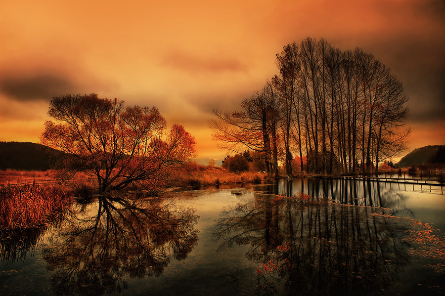 Chairi | water, trees, hdr, autumn