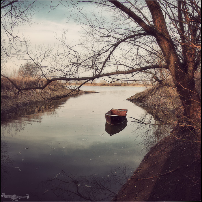 About silence | river, shore, trees, boat, spring