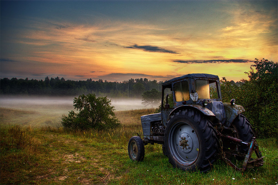 While the job is waiting | , trees, hdr, field, fog