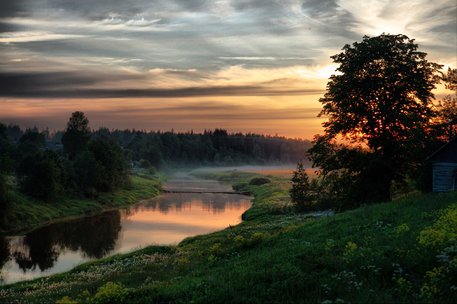 In the country | river, shore, evening, trees