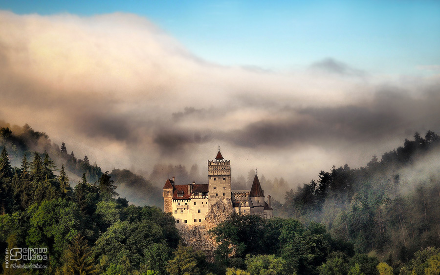 Dracula's Castle | mountains, forest, fog, panorama, astle