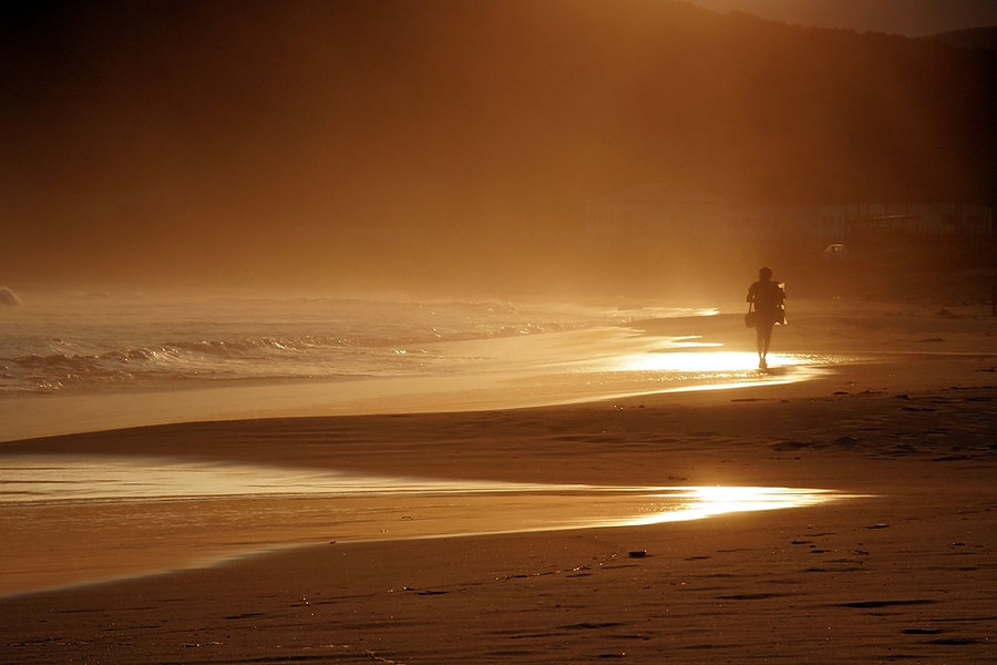 Way to sun | silhouette, sand, waves, mist, beach